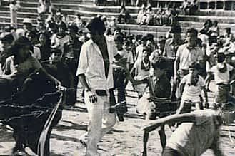 1974. Carlos Arrieta torea una vaquilla.