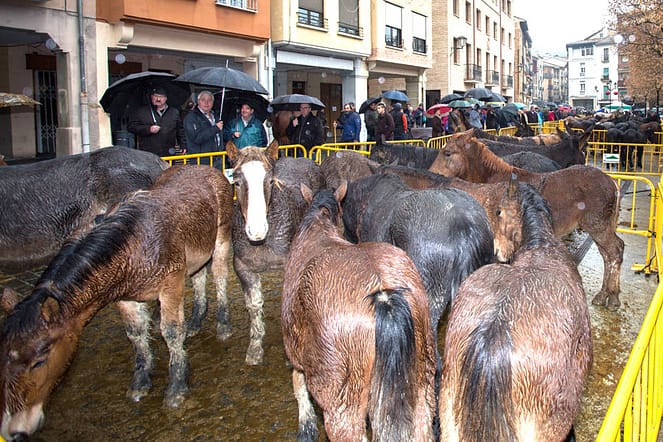 La lluvia deslució el mercado de ganado en la plaza Santiago.