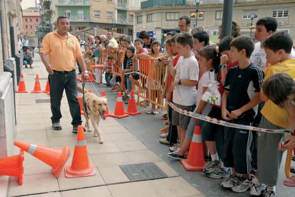 Una exhibición de perros guía, eje central de la Semana de la ONCE
