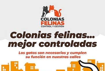 Egapeludos lanza una campaña informativa sobre colonias felinas
