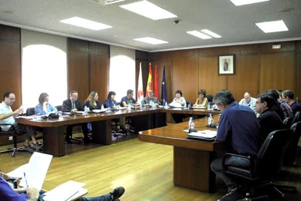 El Ayuntamiento aprueba una moción en contra de la división de Remontival