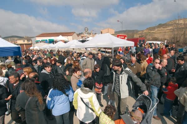 Miles de visitantes probaron el aceite de Arróniz en un domingo soleado