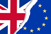 ¿Qué opina de la salida del Reino Unido de la Unión Europea?
