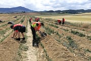 Yerri continuará el proyecto ‘Buruxka’, sobre aprovechamiento del excedente agroalimentario