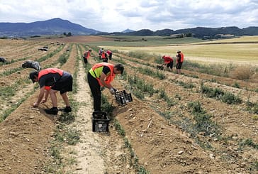 Yerri continuará el proyecto ‘Buruxka’, sobre aprovechamiento del excedente agroalimentario