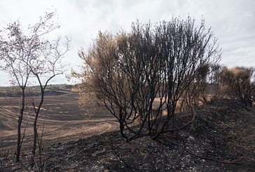El incendio entre Arróniz y Los Arcos arrasó en torno a 1.000 hectáreas