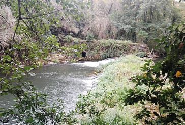 Oposición a la demolición de la presa del Molino Nuevo de Gastiáin