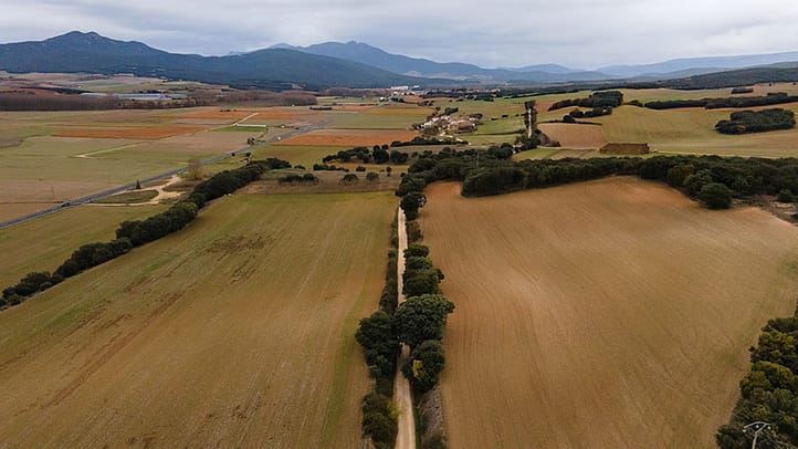 Esta imagen captada con dron da sensación de movimiento sobrevolando una zona de campos de cereal.
