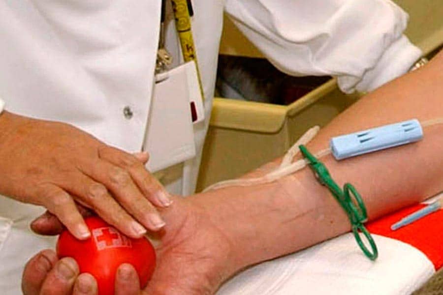 Entregadas 17 insignias a donantes de sangre en la fiesta local de Estella